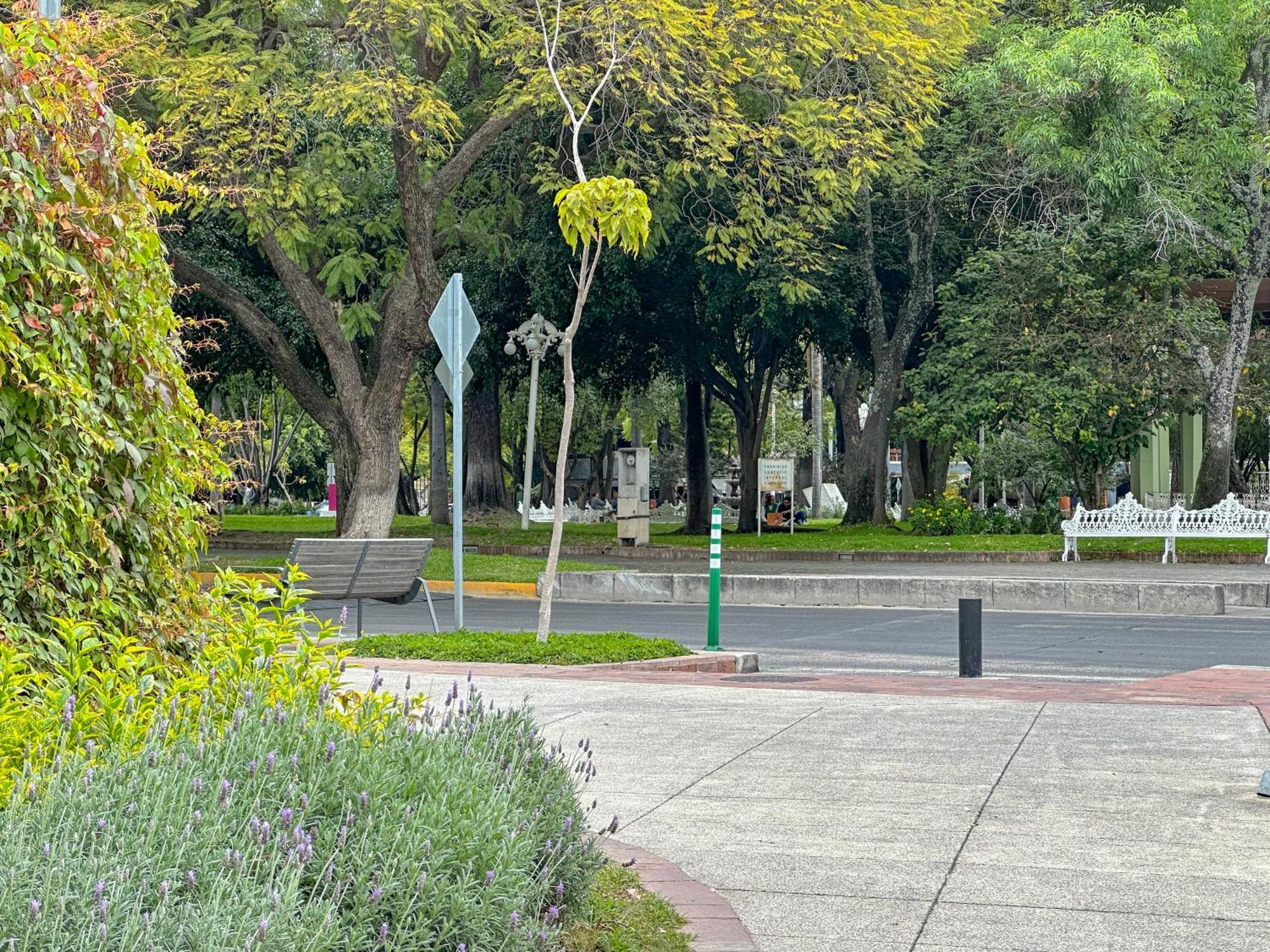 Estudio En Chapalita Estilo Y Confort Total 03 Guadalajara Eksteriør bilde