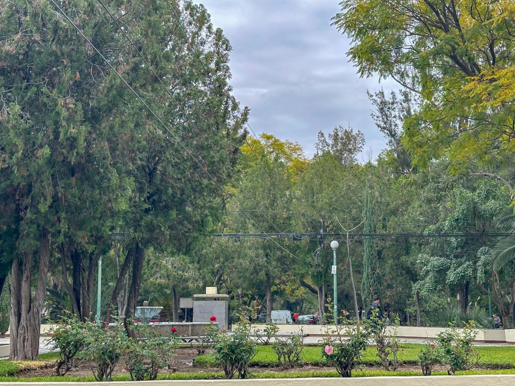 Estudio En Chapalita Estilo Y Confort Total 03 Guadalajara Eksteriør bilde